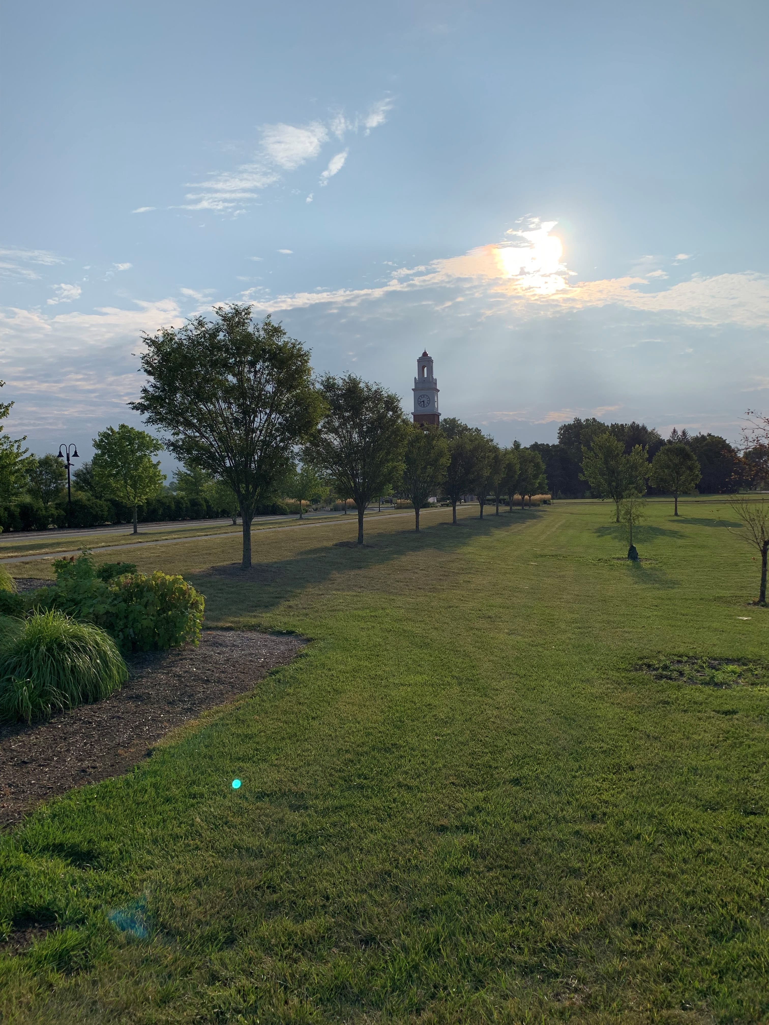 portfolio video work